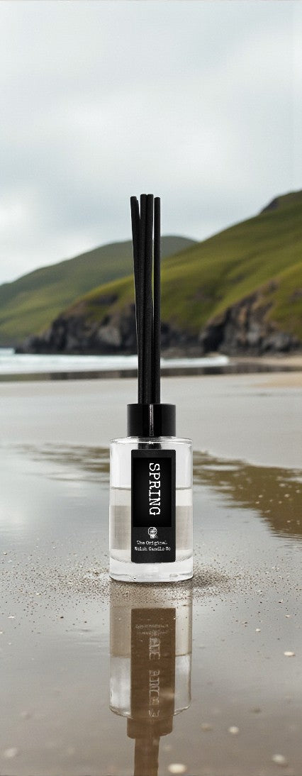 Spring Diffuser 100ml - Lime Basil & Mandarin